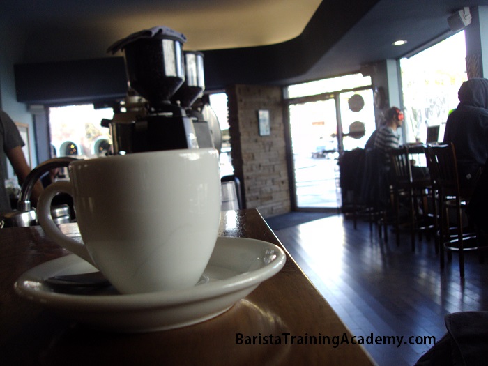 Requirements to be a Barista - Barista Training Academy